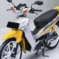 Motor Yamaha Fiz-R. (Ist)